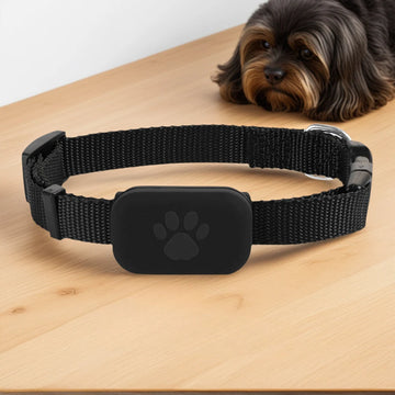 Pet GPS Tracker